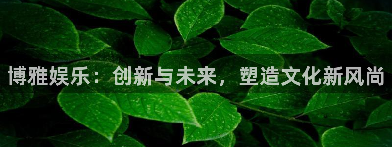 百达娱乐：博雅娱乐：创新与未来，塑造文化新风尚