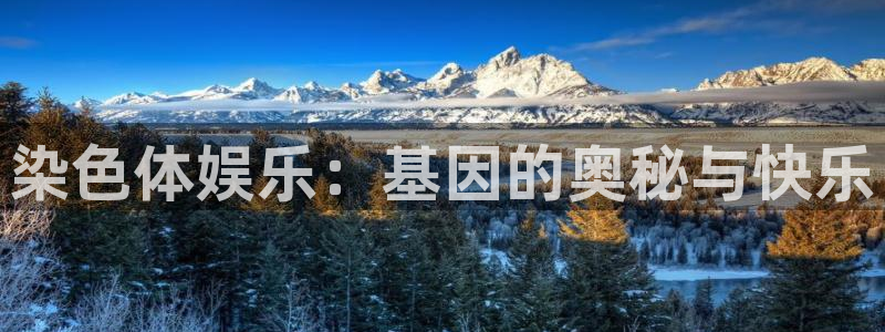 百达娱乐：染色体娱乐：基因的奥秘与快乐