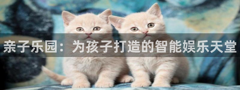 百达娱乐：亲子乐园：为孩子打造的智能娱乐天堂
