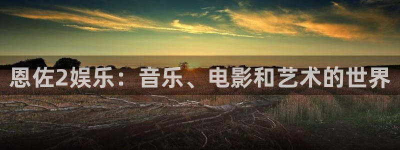 百达娱乐：恩佐2娱乐：音乐、电影和艺术的世界