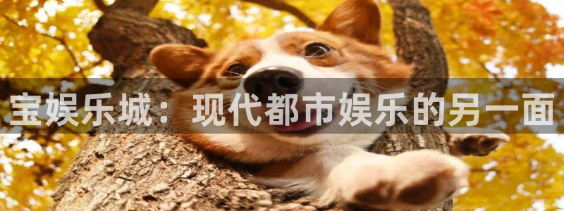 百达娱乐：宝娱乐城：现代都市娱乐的另一面