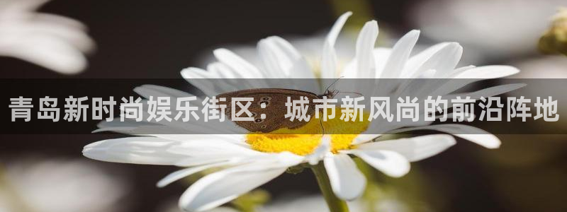 百达娱乐：青岛新时尚娱乐街区：城市新风尚的前沿阵地