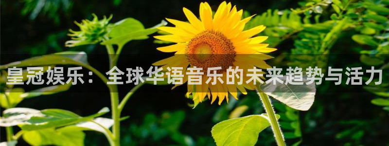 百达娱乐：皇冠娱乐：全球华语音乐的未来趋势与活力