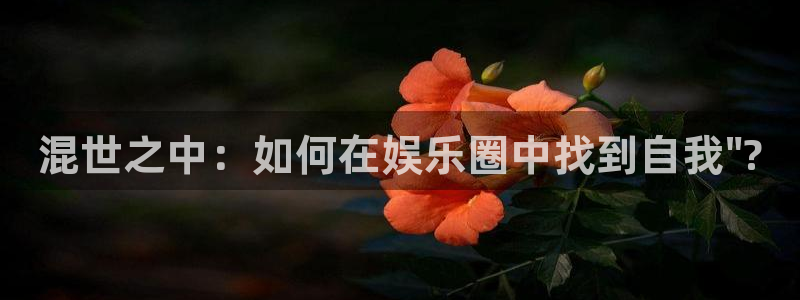 百达娱乐：混世之中：如何在娱乐圈中找到自我\