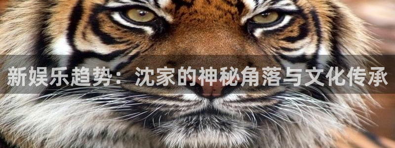 百达娱乐：新娱乐趋势：沈家的神秘角落与文化传承