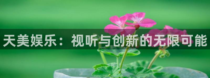 百达娱乐：天美娱乐：视听与创新的无限可能