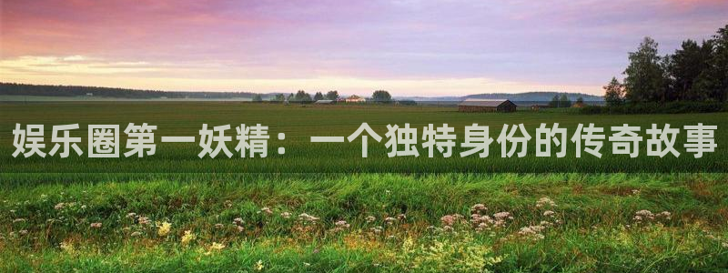 百达娱乐：娱乐圈第一妖精：一个独特身份的传奇故事